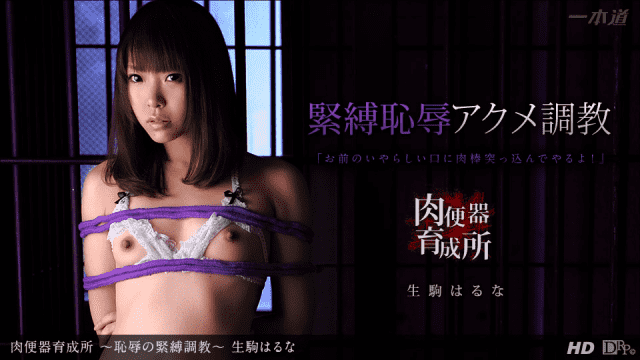 1PONDO 011714_739  Original Drama Collection Haruna Ikoma Jav Uncensored Adult japan porn - AC Server