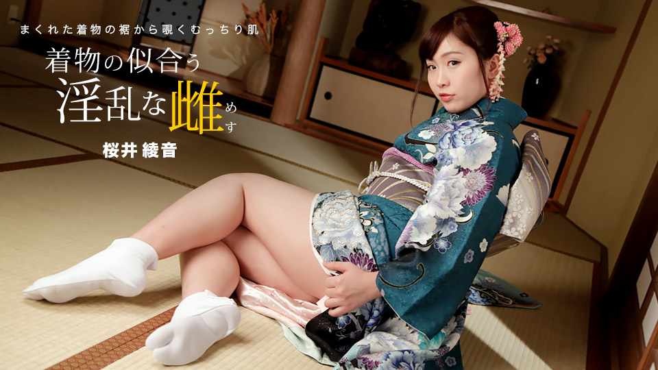 1Pondo 010822_001 Nasty female who looks good in a kimono Ayane Sakurai - AC Server